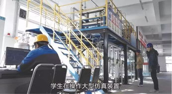 石油化工技術(shù)與市場銷售 產(chǎn)業(yè)鏈協(xié)同發(fā)展的雙輪驅(qū)動